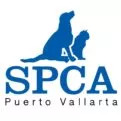 SPCA PV Animal Rescue