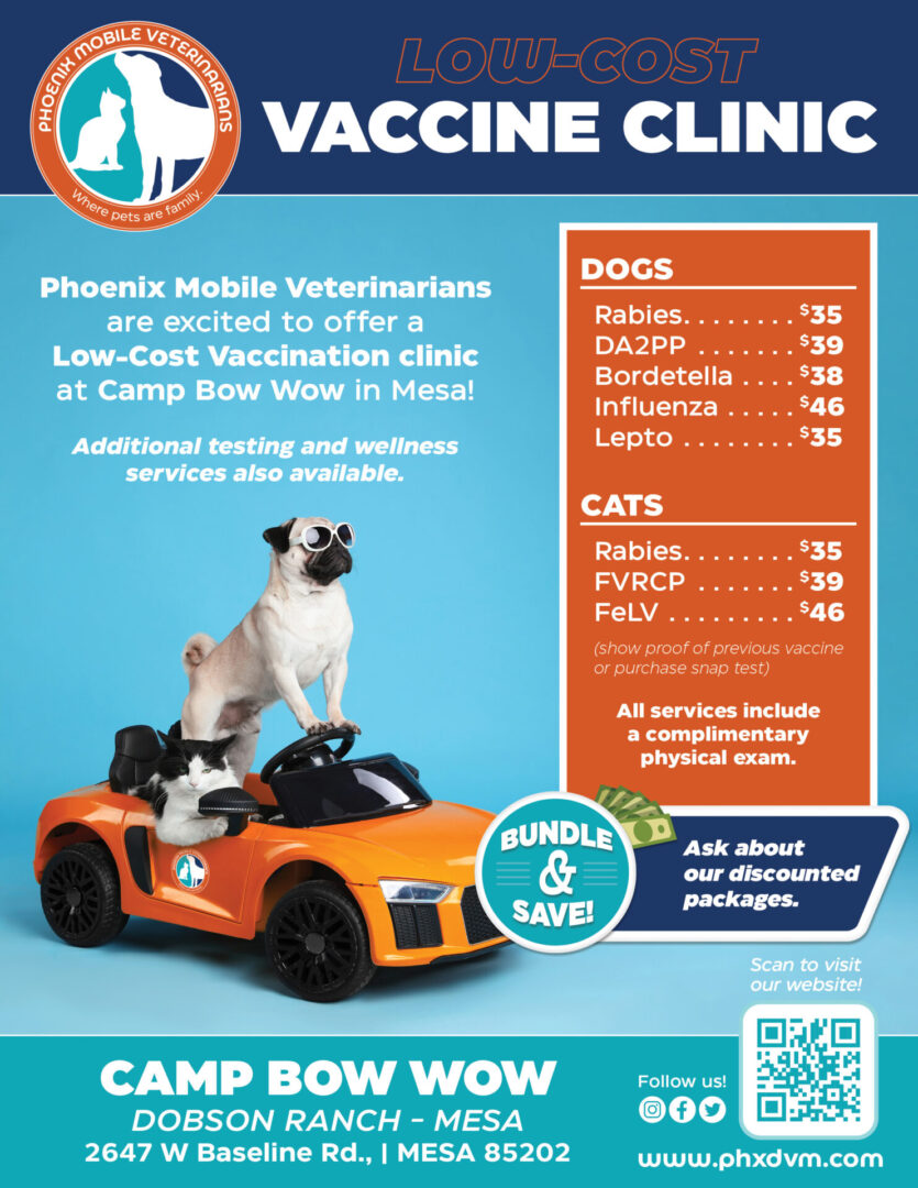 Low-cost pet vaccination poster