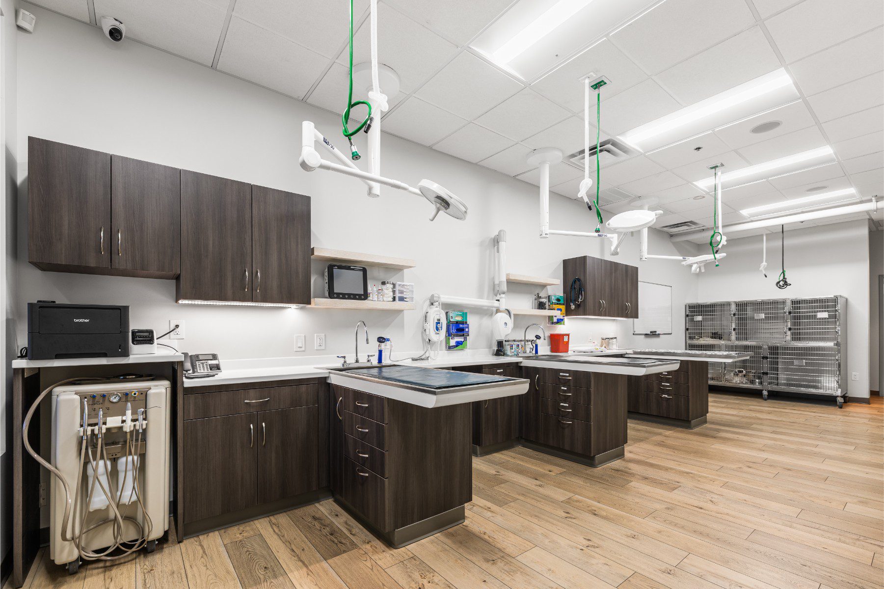 Veterinary treatment room with multiple exam tables and medical equipment in Scottsdale
